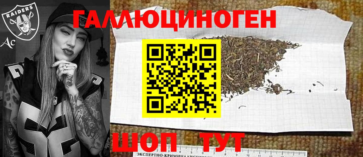 Галлюциногенные грибы прущие грибы Холмск
