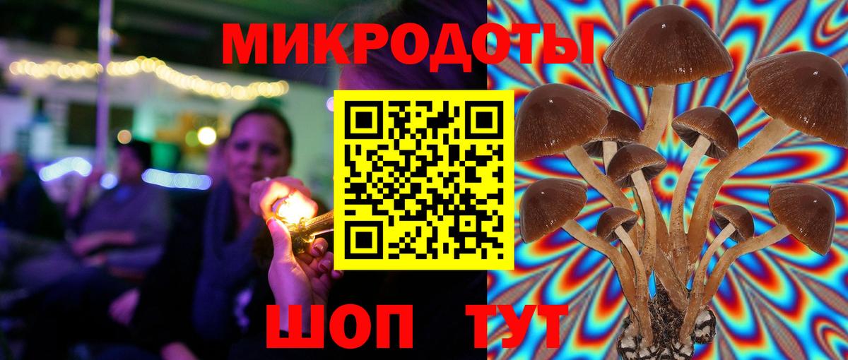 Псилоцибиновые грибы Psilocybine cubensis  Галлюциногенные грибы Psilocybine cubensis  Холмск  Вход с VPN 